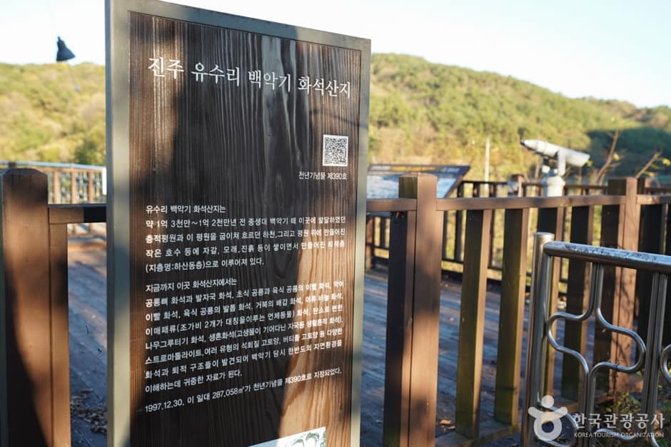 경남_진주_진주 유수리 백악기화석 산지 (9)