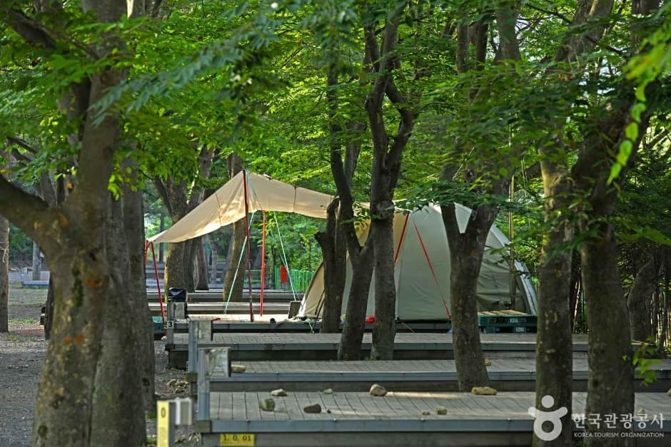 화양동관광농원 (6)