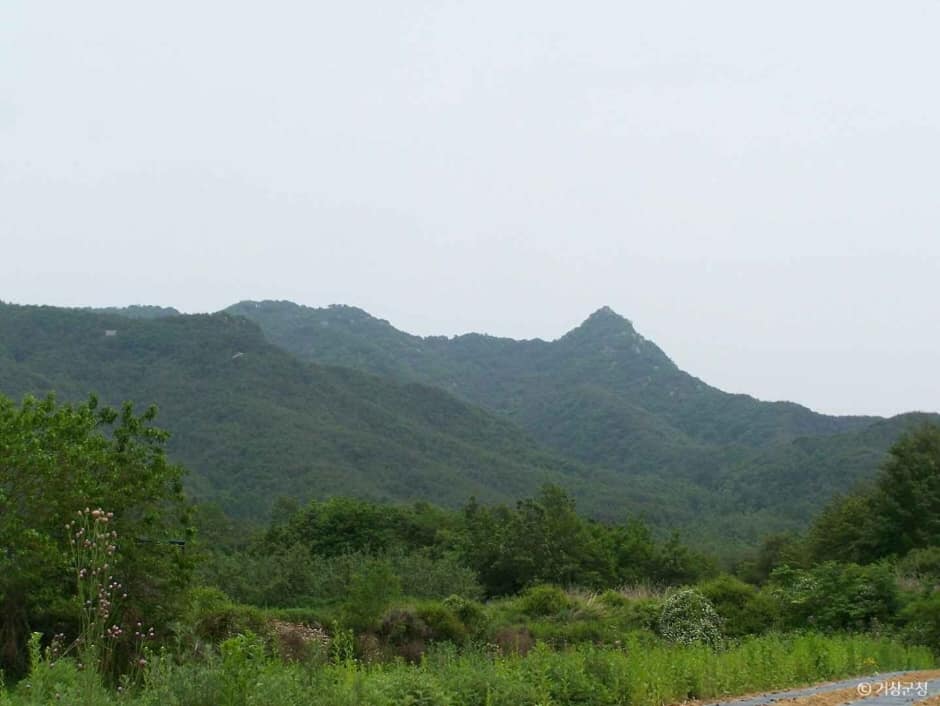 보해산 (5)