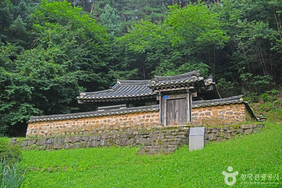 박약재 (2)