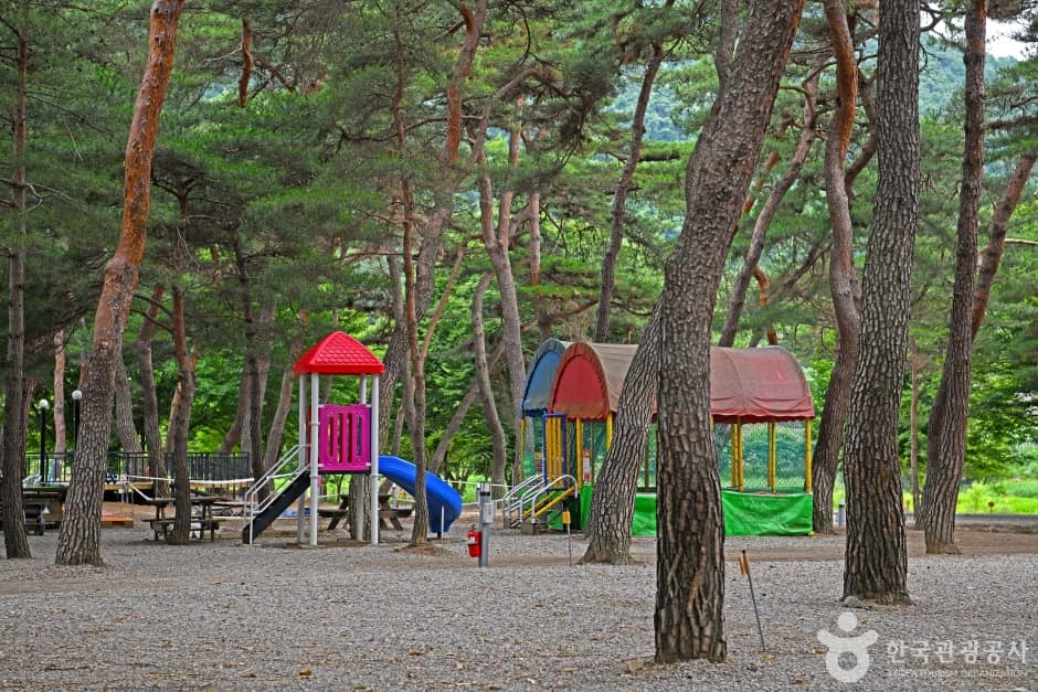 괴산 후평숲캠핑장 (6)