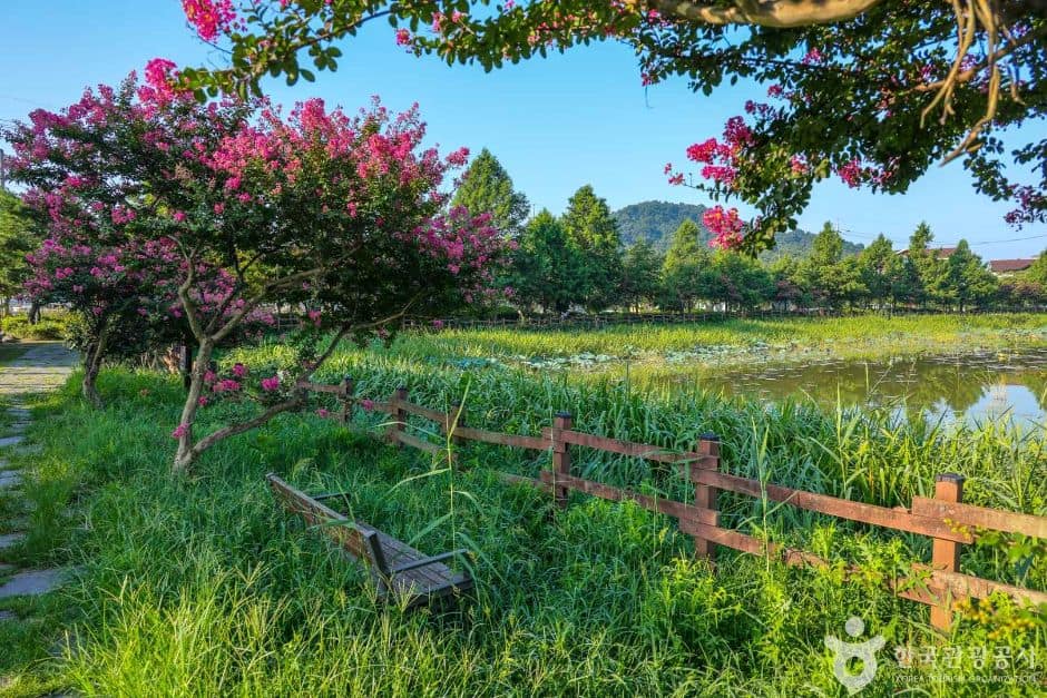 전평제 (5)