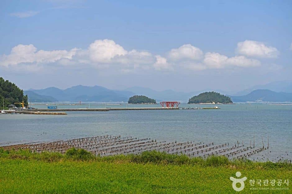 완도_약산도(조약도) (1)