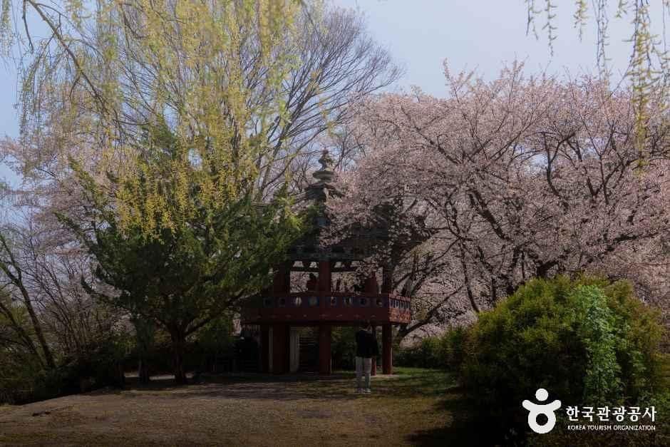 경남_거창_덕천서원_외부_5.jpg