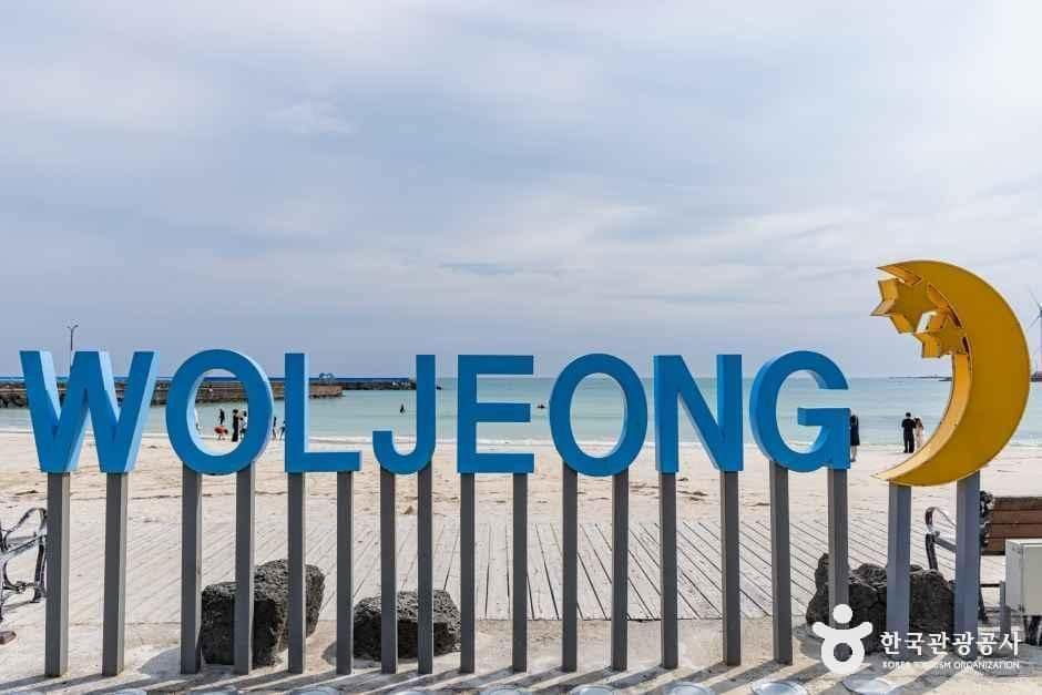 제주특별자치도_제주시_월정리해수욕장_외부_1.jpg