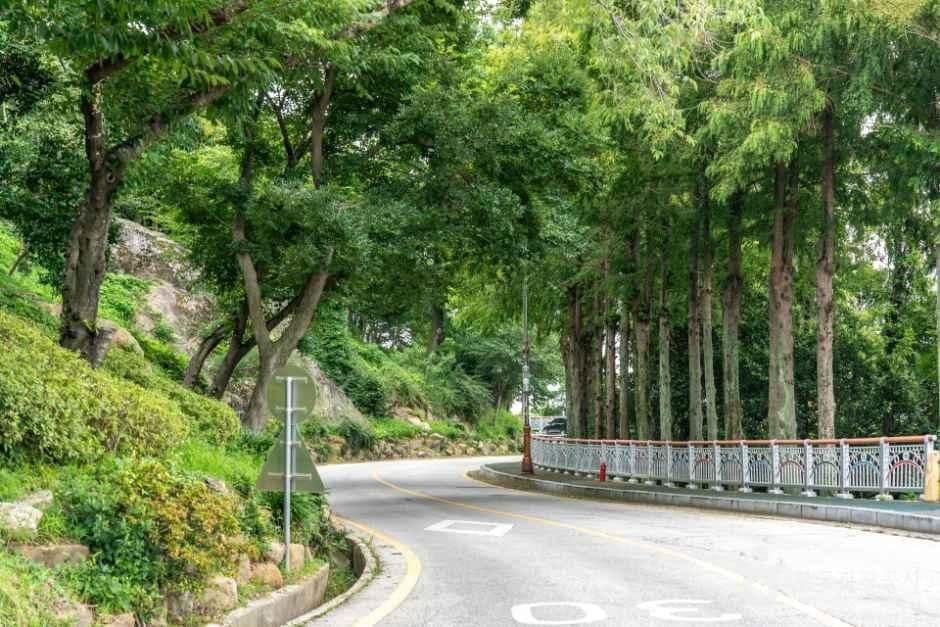 목포_유달산일주도로 (1).jpg