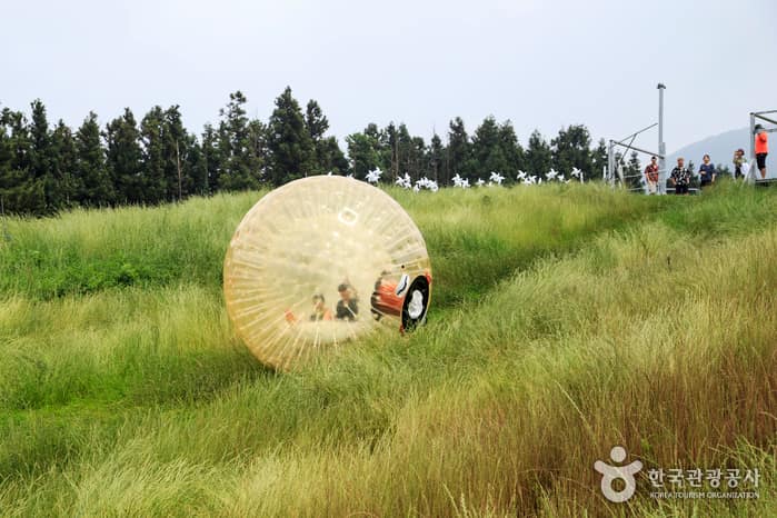 제주_제주에서 즐기는 육, 해, 공 레포츠 3종 세트!05