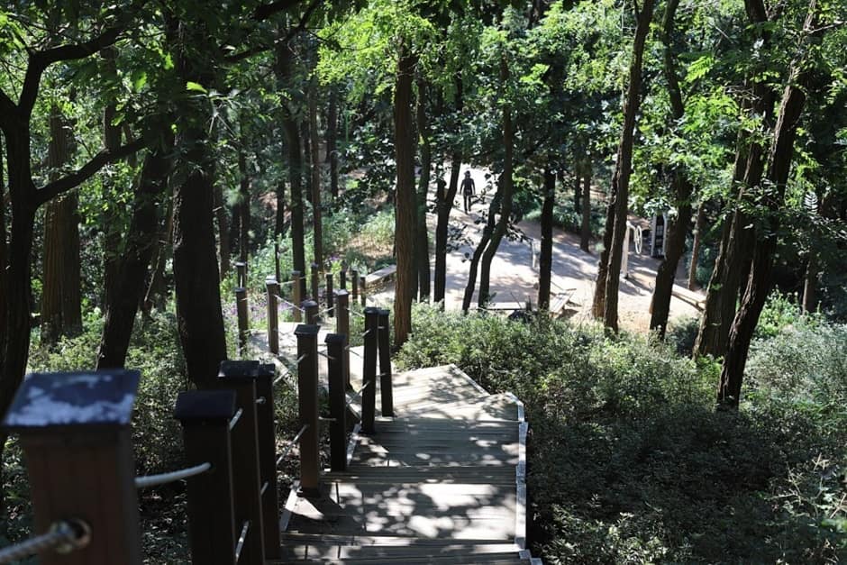 고봉산_등산로