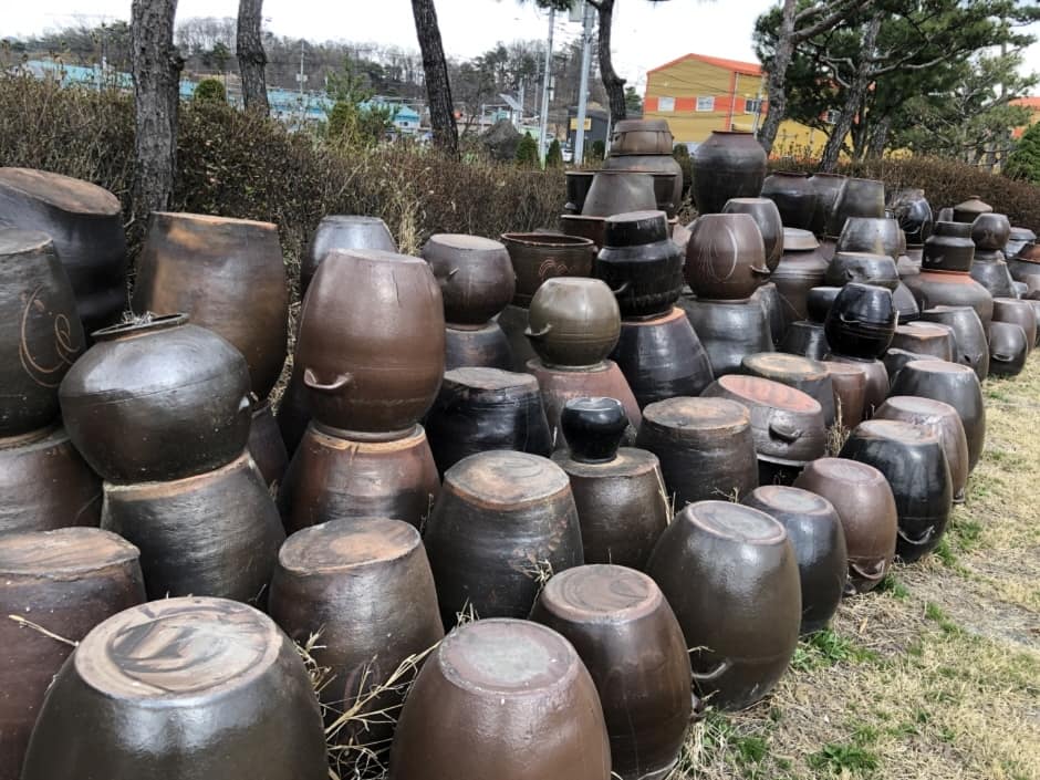 농심테마공원 (5)