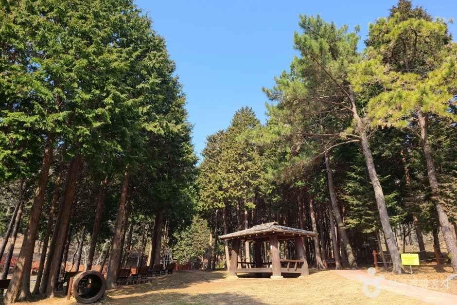 운림산림욕장 (2)