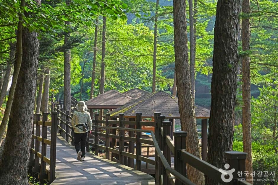 봉학골산림욕장 (5)