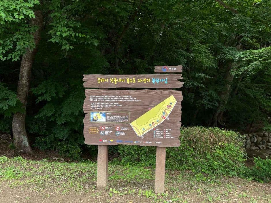 동해_냉천공원 (8)