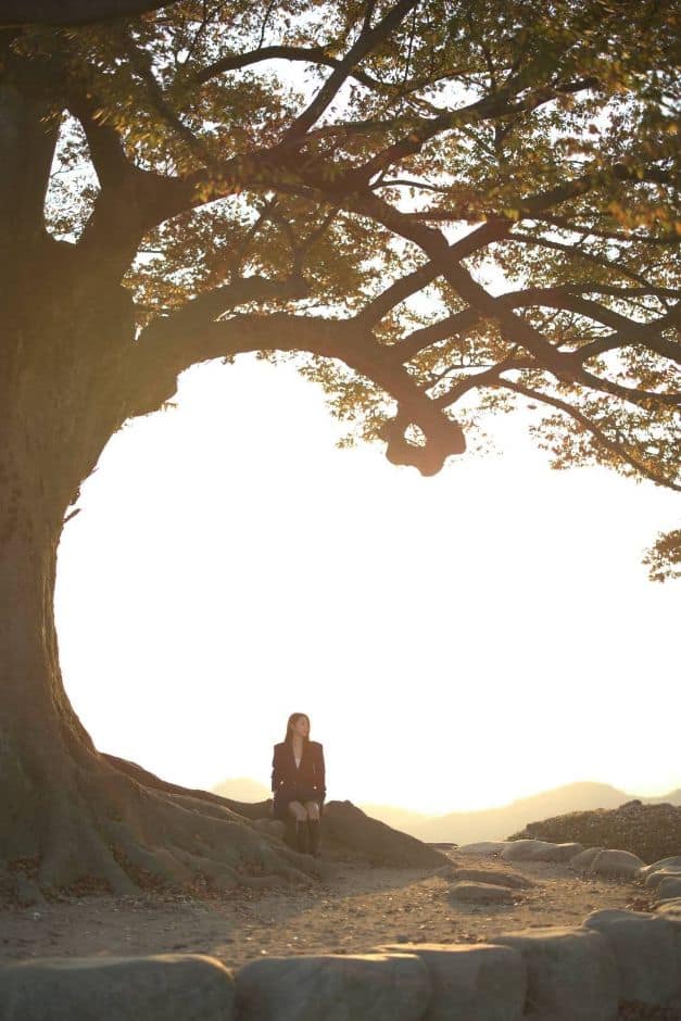부여_성흥산 사랑나무 (2)