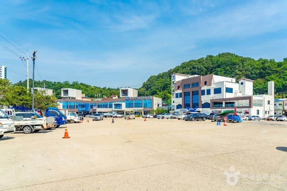 울진_한마음광장 (5)