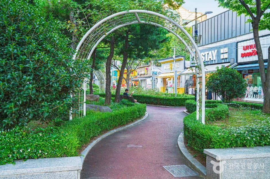 목포_장미의거리 (5)