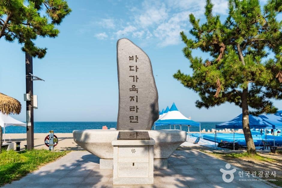 경주_나정고운모래해변 (5)