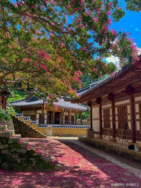 고령_도암서원(고령) (1)