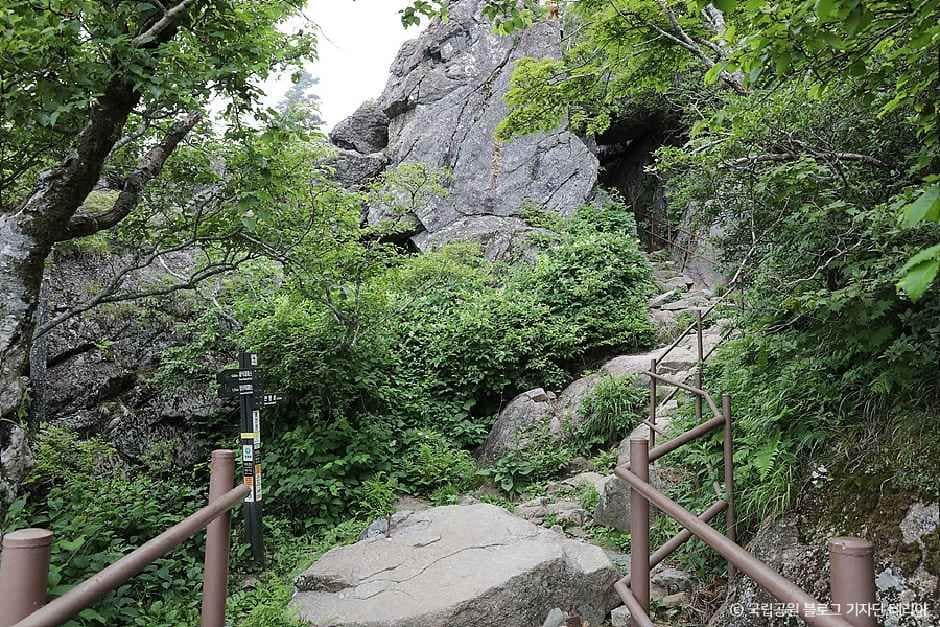 함양_지리산국립공원(함양) (5).jpg