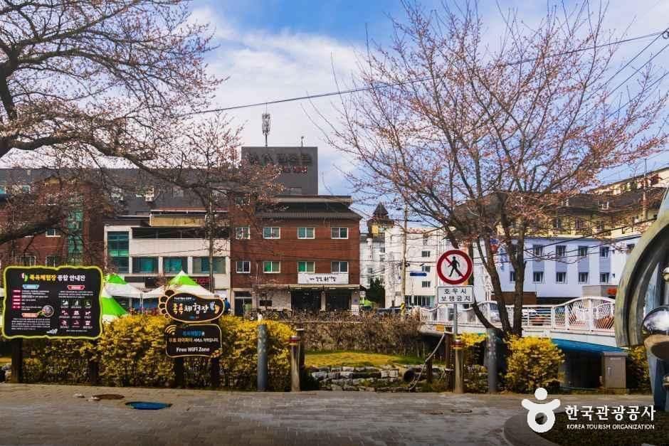 충북_충주_수안보온천관광특구_외부_1.jpg