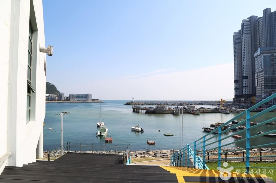 동삼동패총전시관 (2)