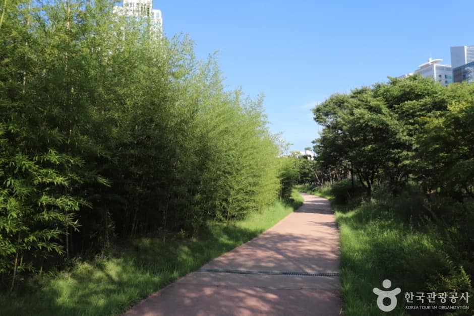 정부대전청사 자연마당 (9)