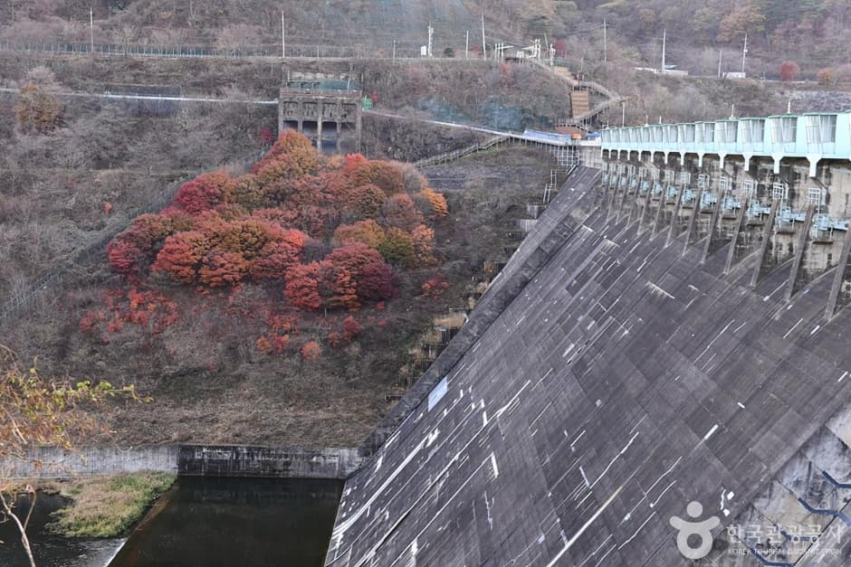 전북_임실_섬진강댐 (7)