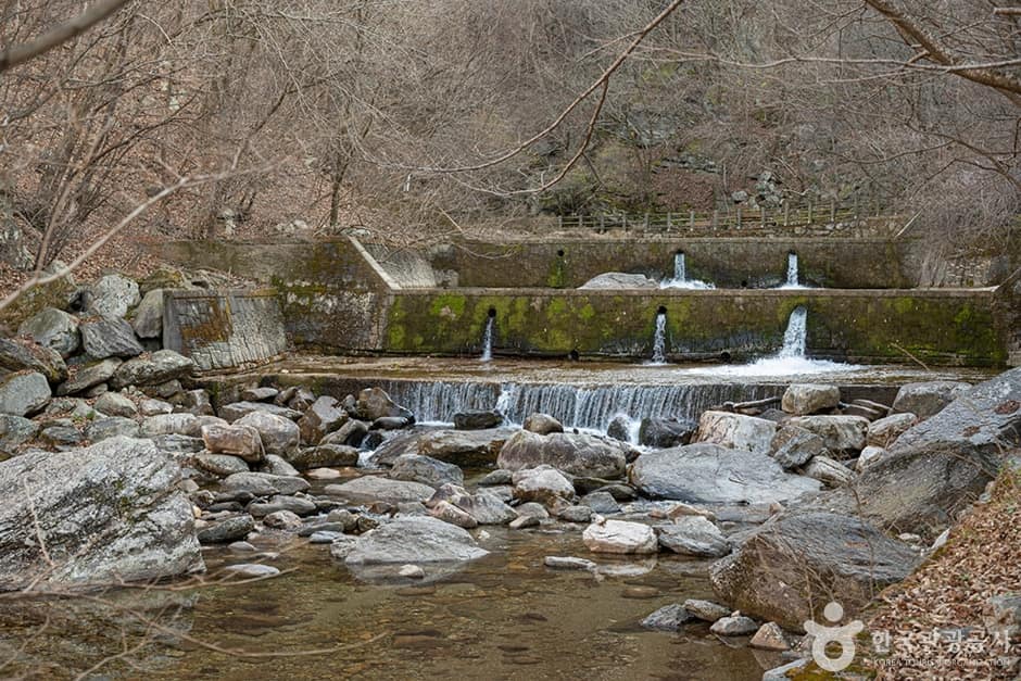 유명산계곡 (2)
