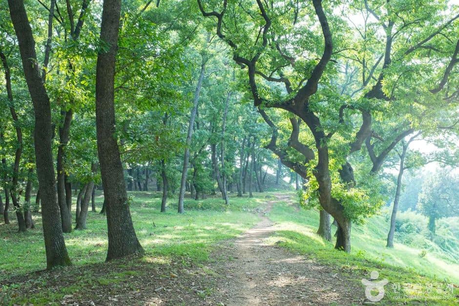 경주_월성이랑 (8)