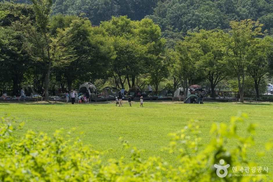 용인자연휴양림