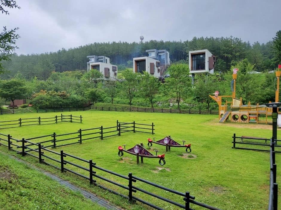 영천_운주산승마자연휴양림 (9)