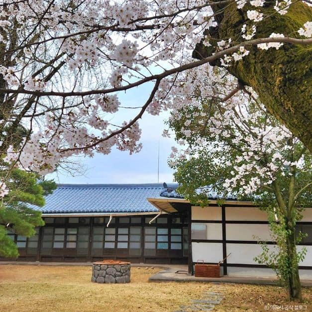 익산_원불교중앙총부 (4)