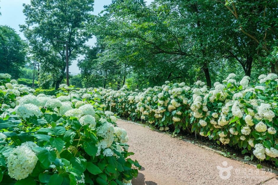 평택_내리문화공원 (3)