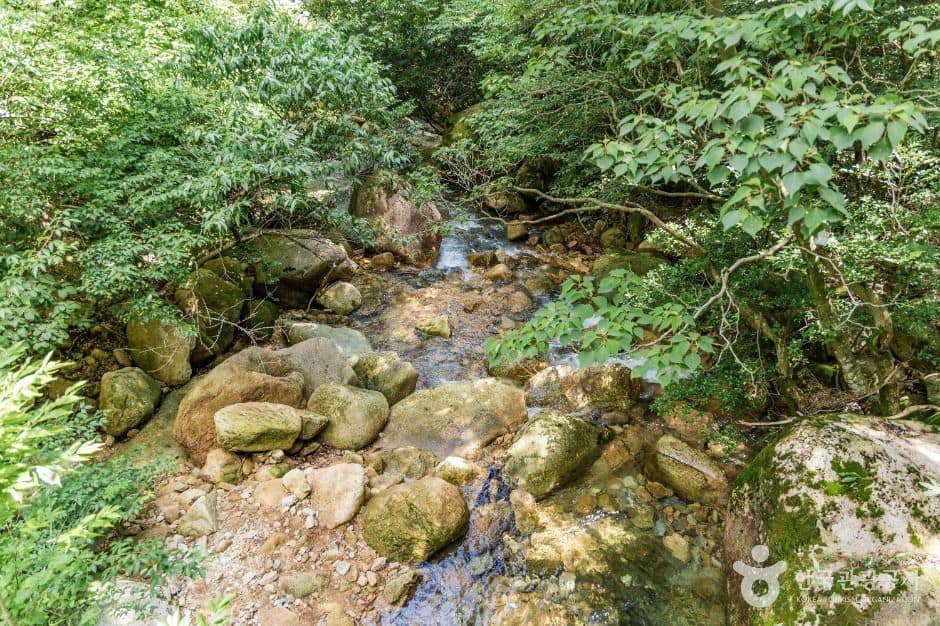 강진_금릉경포대 (6)