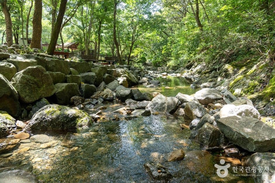 보령_화장골계곡 (6)