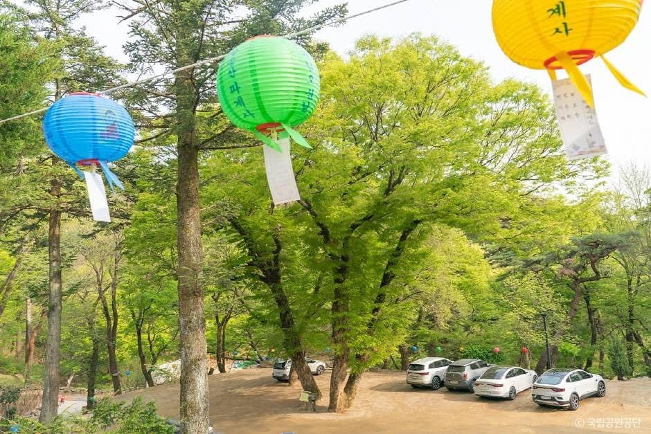 대구_파계사 (7)