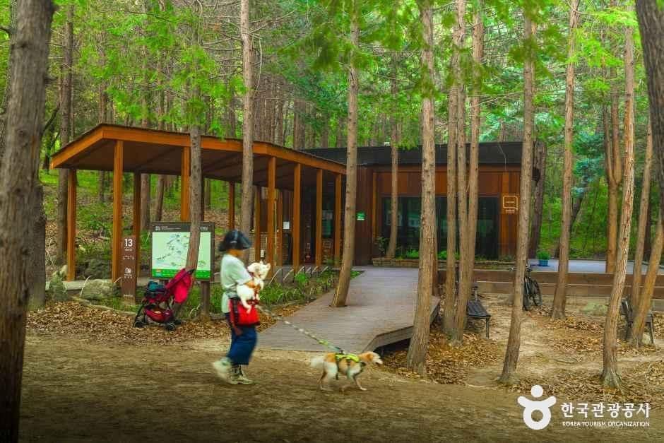 전북_전주_건지산숲속작은도서관_외부_2.jpg