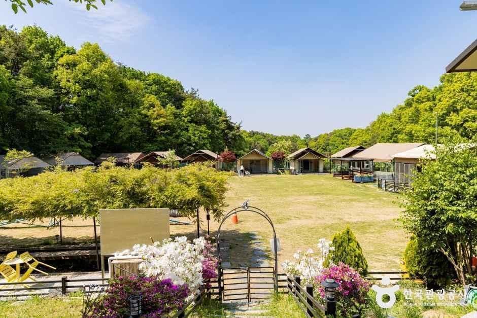괴산_개차반캠핑 (6).jpg