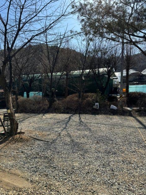 파주_배나무꽃캠핑장 (5).jpg