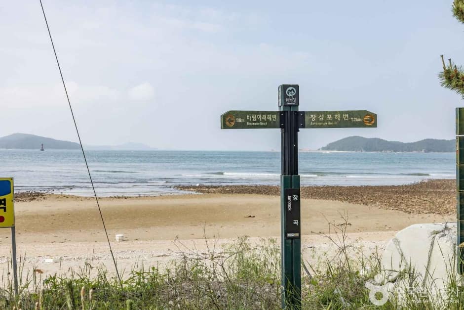 장돌해수욕장 (3)