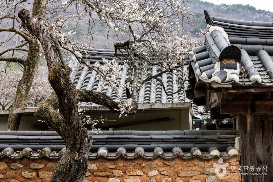 순천_선암사 (8)