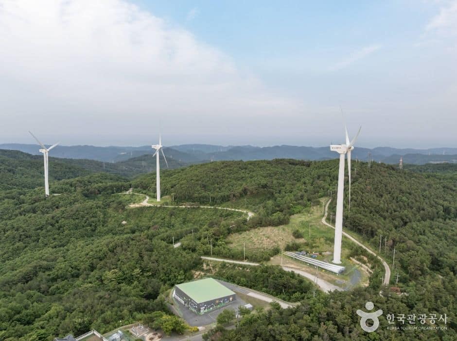 경주_경주 풍력발전(바람의언덕) (8)