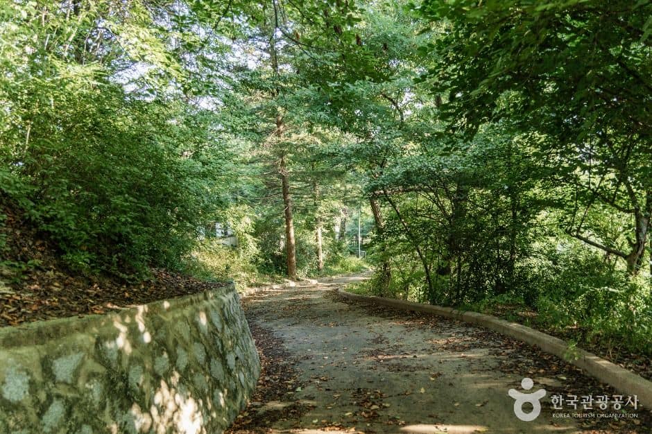 영주_구성공원 (7)