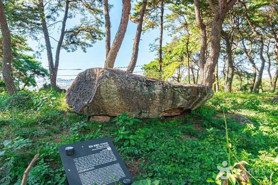 함평_함평 용월리 지석묘군 (6)