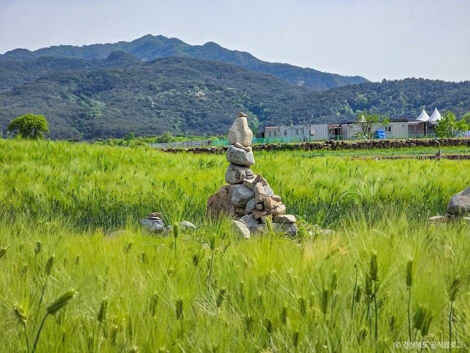 경주_경주 황룡사지 (2)