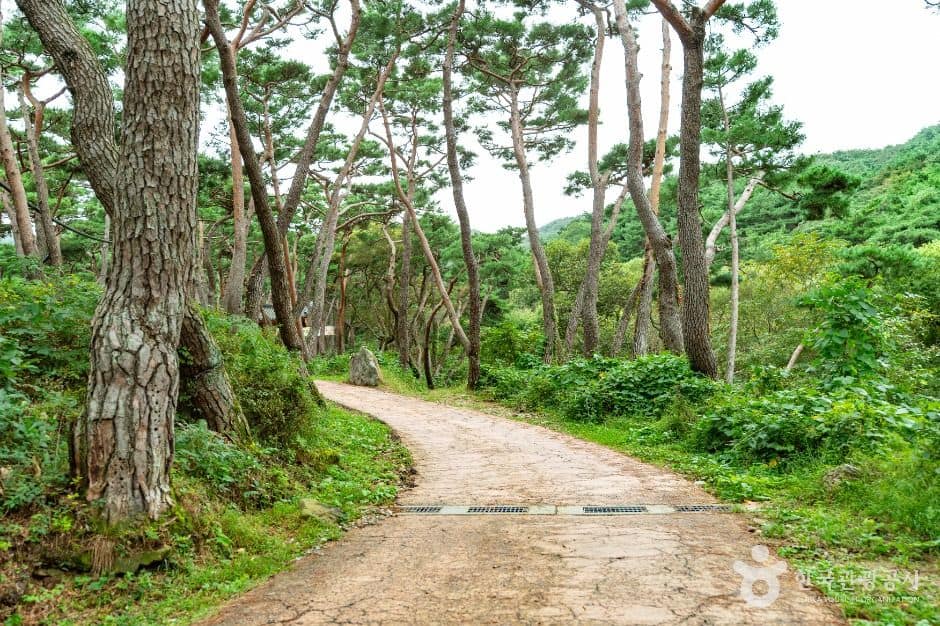 아산_천년의숲길 (2)