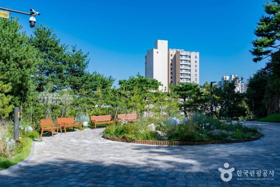 용인_용인중앙공원 (2)