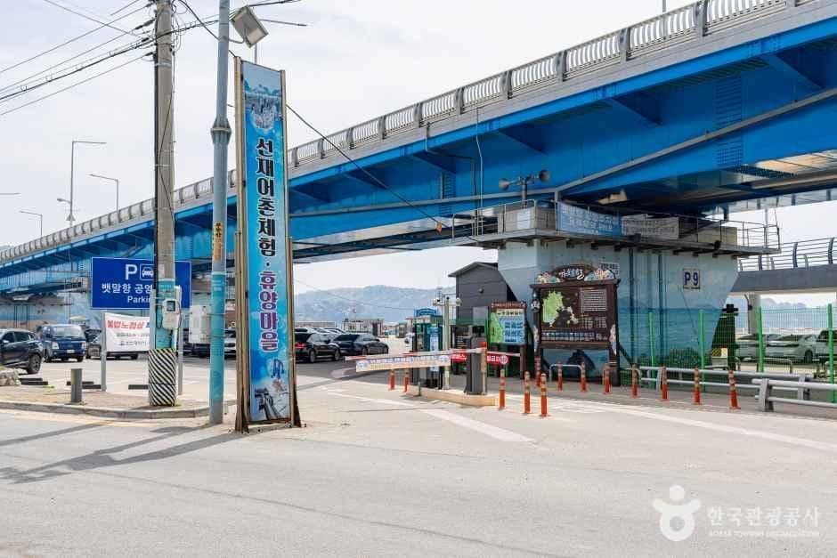 인천_옹진_선재도(선재도 어촌체험마을) (3)