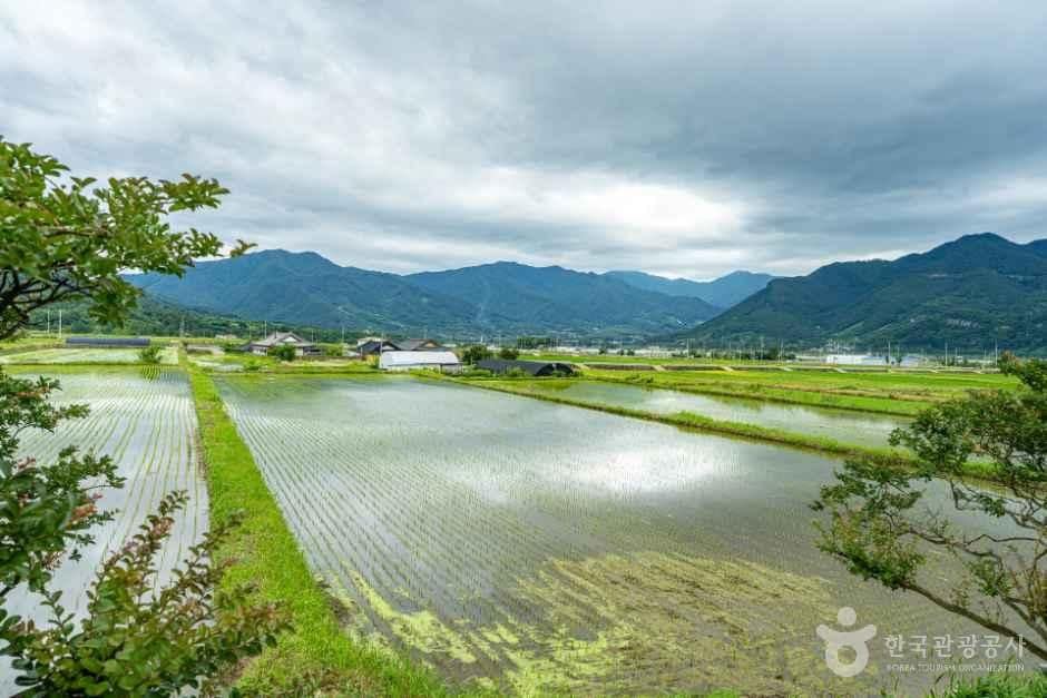 구례_오미마을 (4).jpg