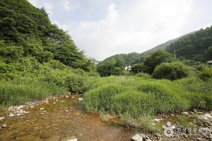 용추자연휴양림