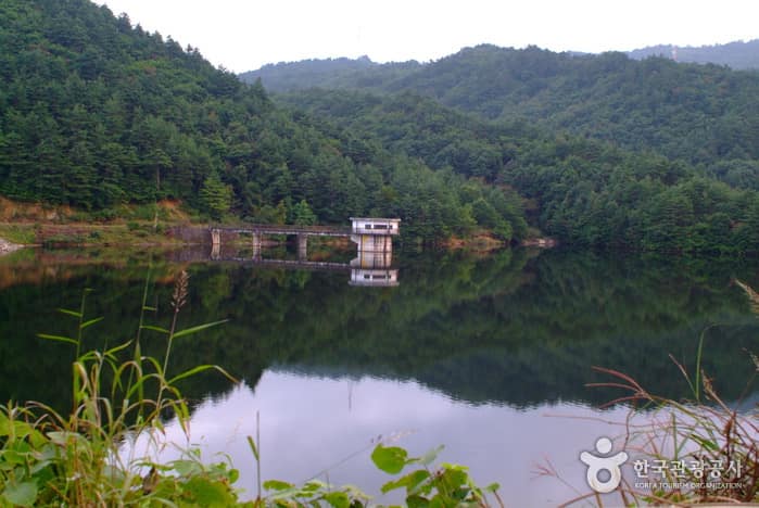 사기막저수지_09